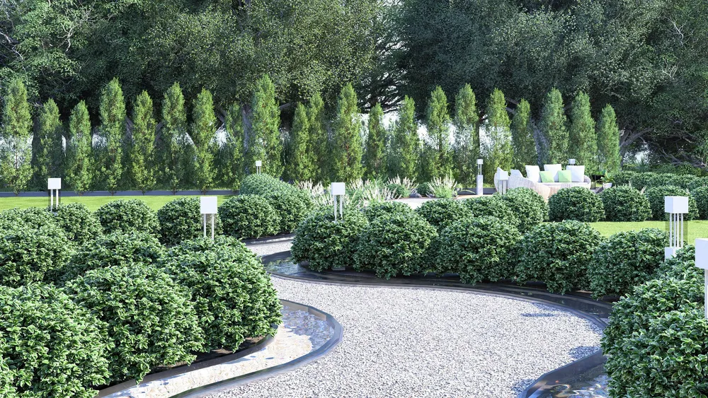 Clipped shrubs and evergreen planting